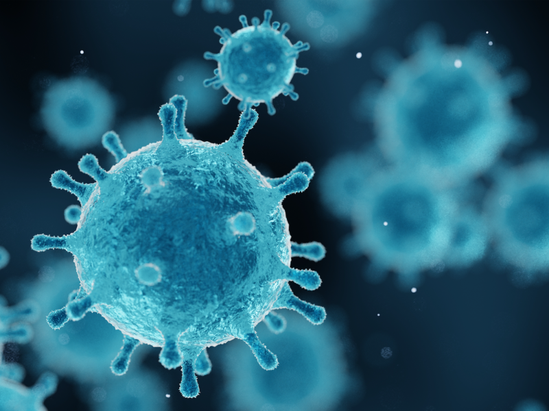 Virus