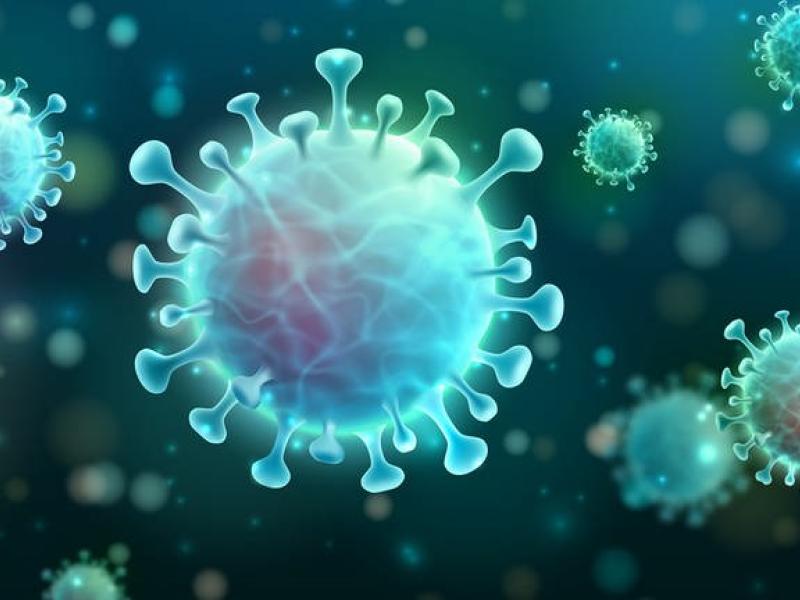 How to find the best way out of a pandemic.